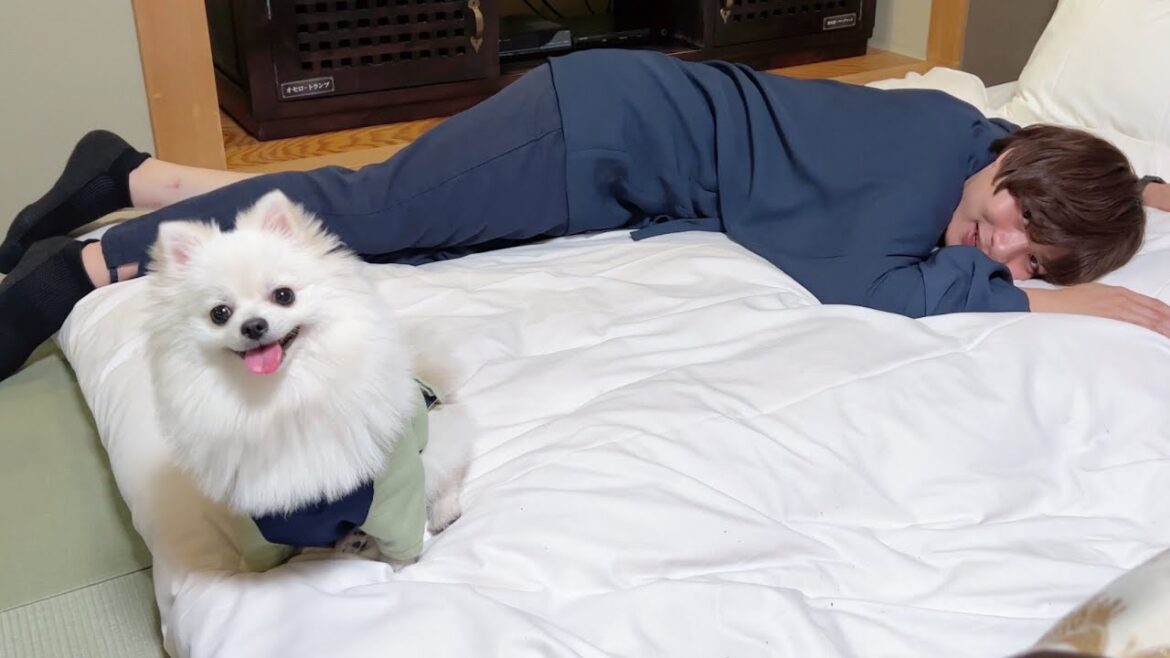 愛犬と男3人で温泉旅行に行ったら楽しすぎました！後編(伊豆高原・ウブドの森)