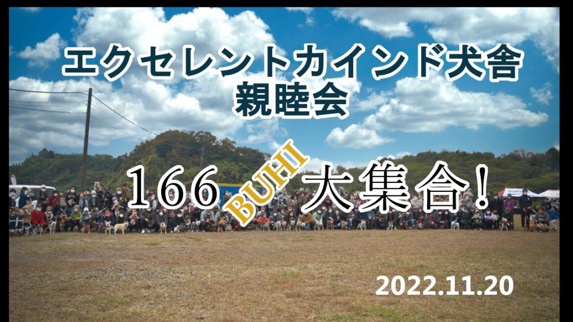 フレンチブルドッグ空&BOBのおでかけ エクセレントカインド犬舎親睦会 フレンチブルドッグ空&BOBのおでかけ エクセレントカインド犬舎親睦会