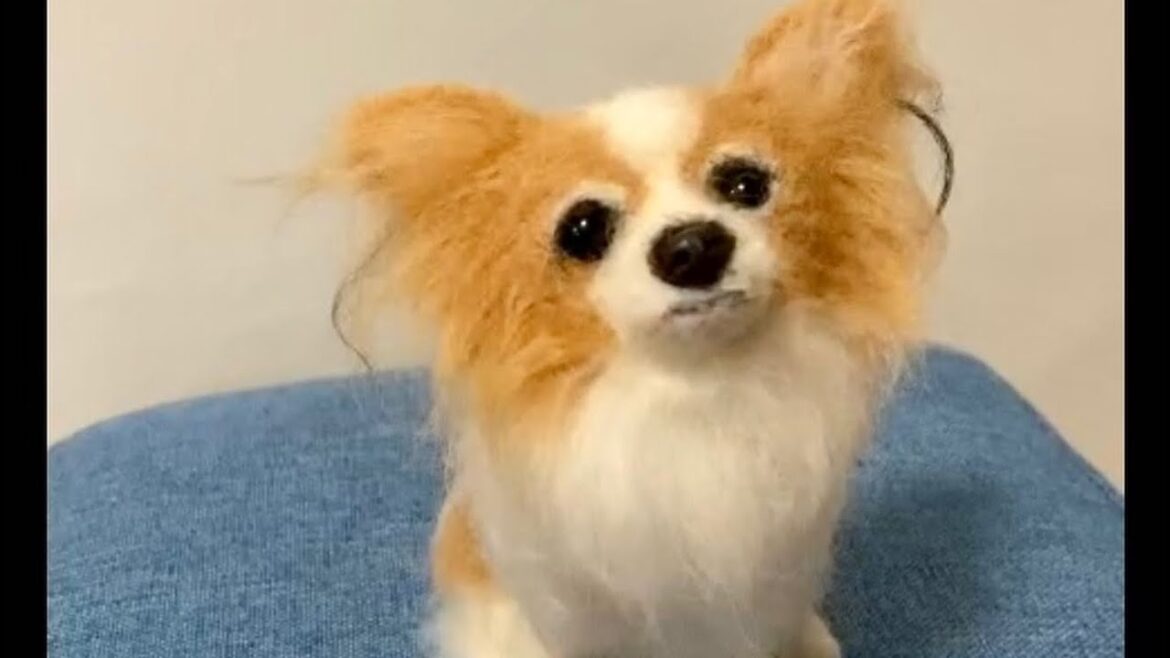 羊毛フェルトオーダー　パピヨン　虹の橋を渡ってしまったさくらちゃんです