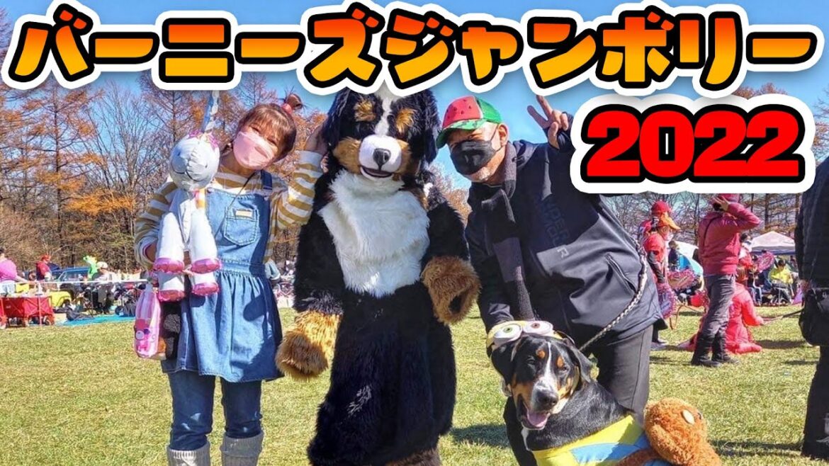 バーニーズの祭典！バーニーズジャンボリー2022へ行ってきました！【バーニーズマウンテンドッグ】