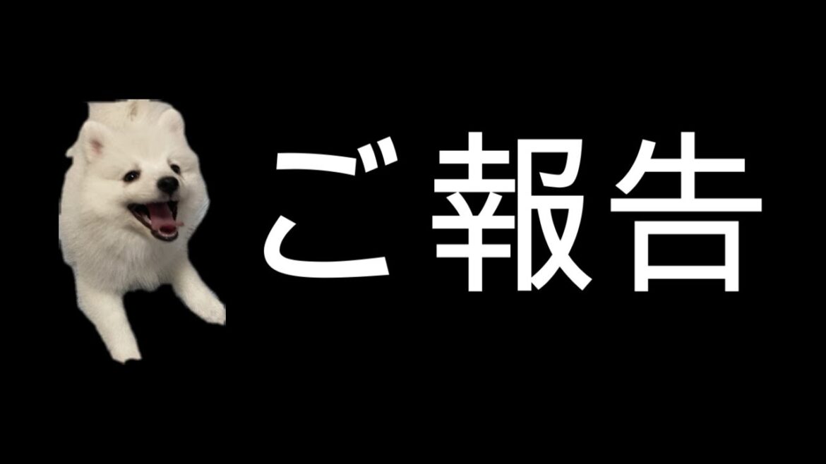 ご報告２０２２年１０月１０日【日本スピッツじゃむ】