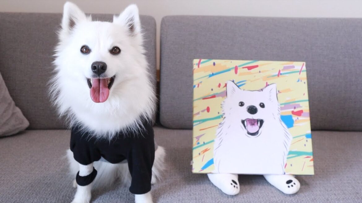 愛犬のことが好きすぎて、日本スピッツのグッズ増殖が止まりませんｗｗ