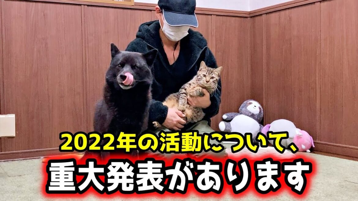 【甲斐犬一休と猫のしずく】2022年の活動についてお話しします