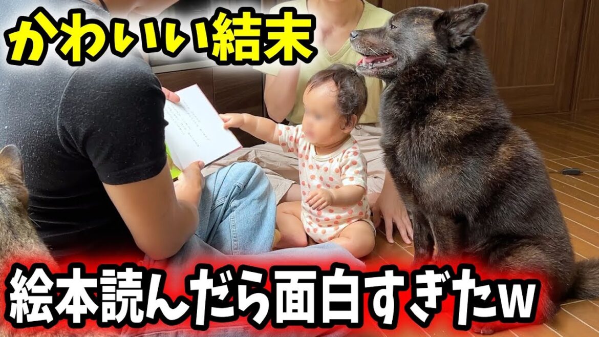 絵本読んだら面白すぎたwまさかの強制終了【赤ちゃんと犬と猫】