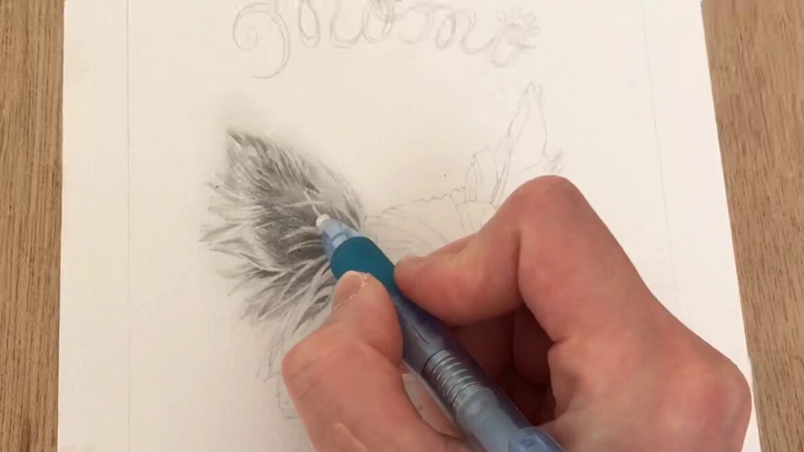 鉛筆画（犬/ヨークシャーテリア）の描き方