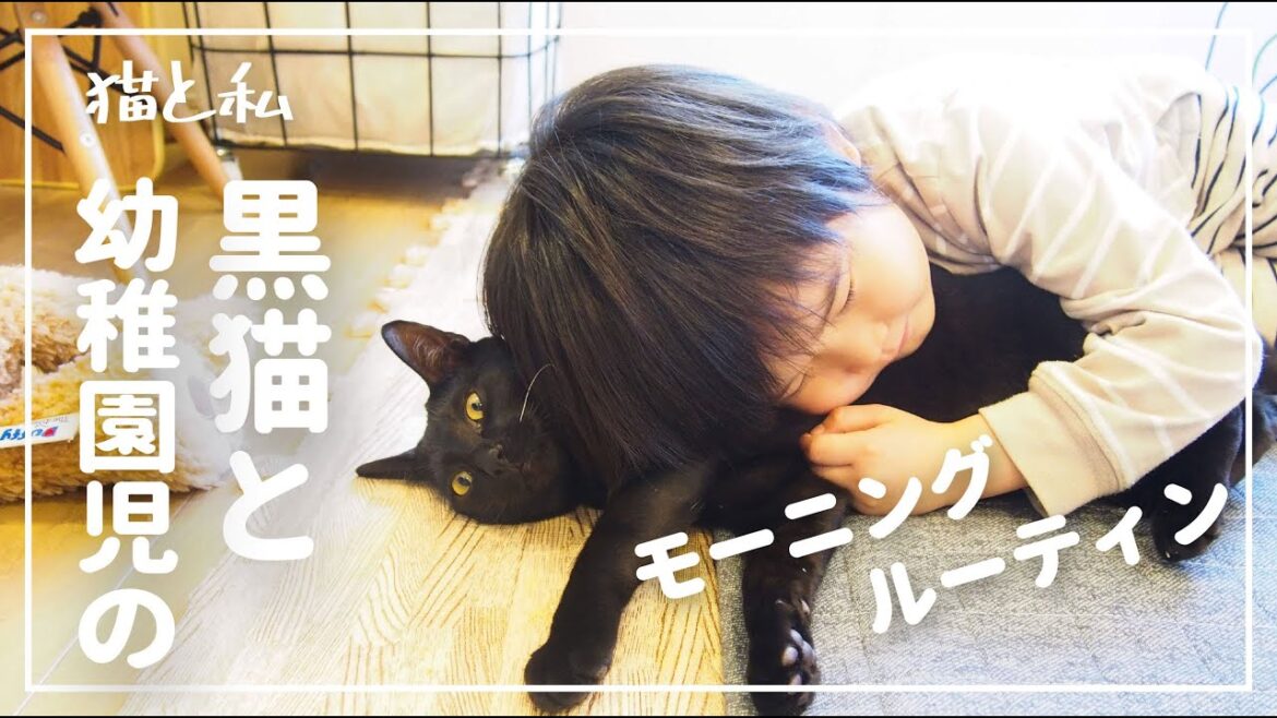 【日本猫】黒猫と5歳息子のゴールデンウィーク【猫と暮らす家】 【日本猫】黒猫と5歳息子のゴールデンウィーク【猫と暮らす家】