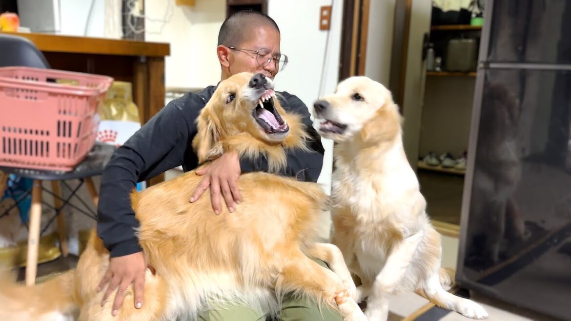 一カ月ぶりに再会する友人を奪い合う兄弟が激しすぎるww