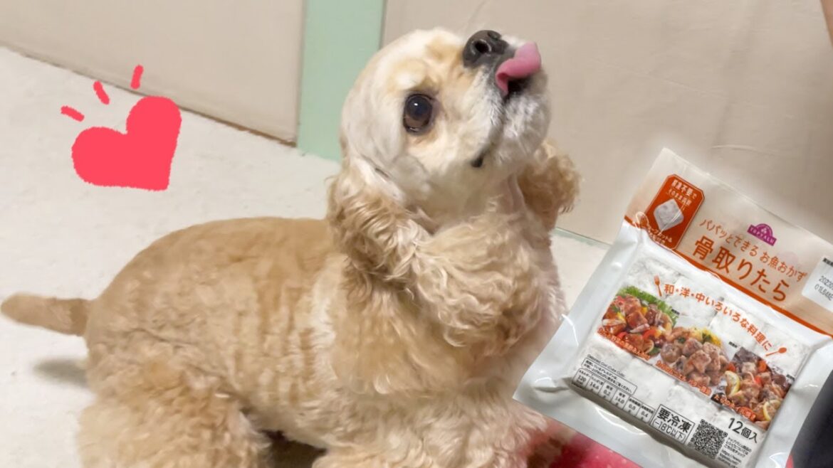 犬も食べられるトップバリュおすすめ冷凍食品はこちらです