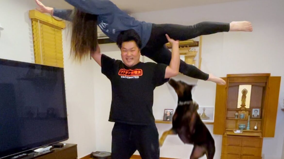 ママがヤバい!全力で助けに入るドーベルマン ママがヤバい!全力で助けに入るドーベルマン