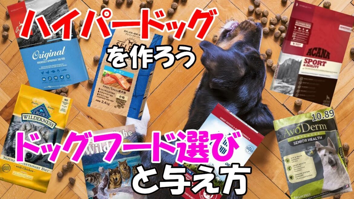 ドッグフード選びと与え方。ジャーマンシェパードをハイパードッグにしよう
