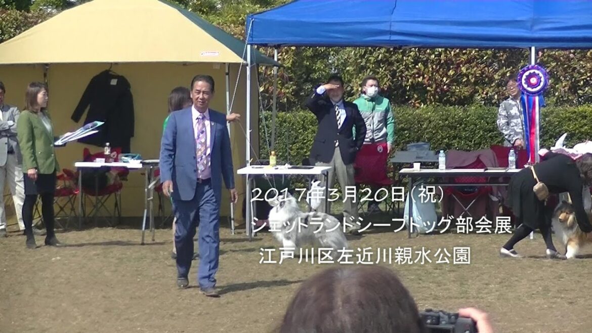 2017年3月20日シェットランドシープドッグ部会展