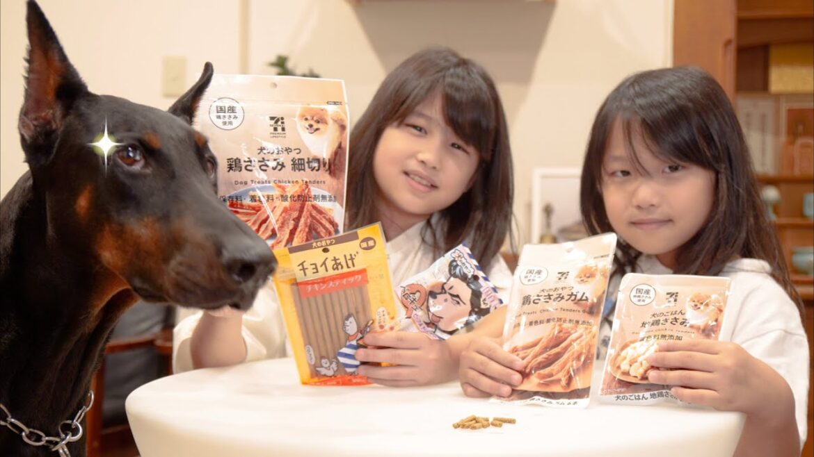 【検証】コンビニのおやつ全種を上げたら大惨事!!【ドーベルマン】 【検証】コンビニのおやつ全種を上げたら大惨事!!【ドーベルマン】