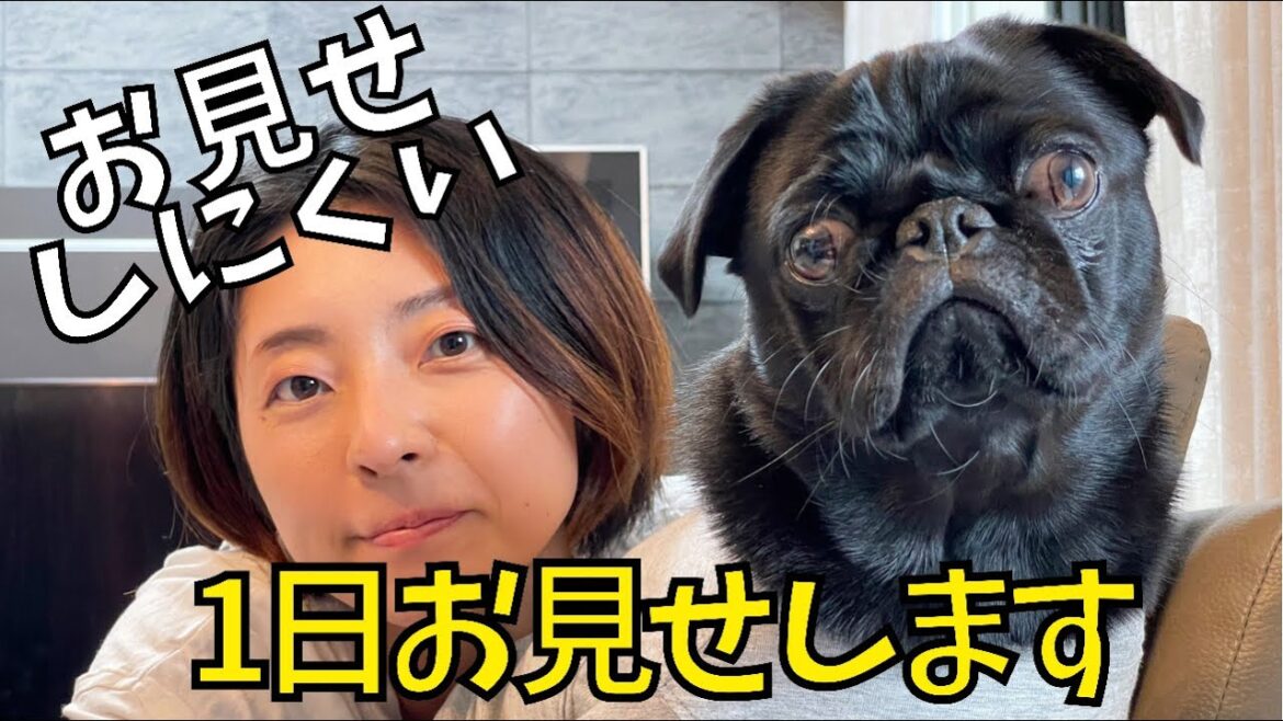パグと30代主婦のリアルな日常ルーティーン