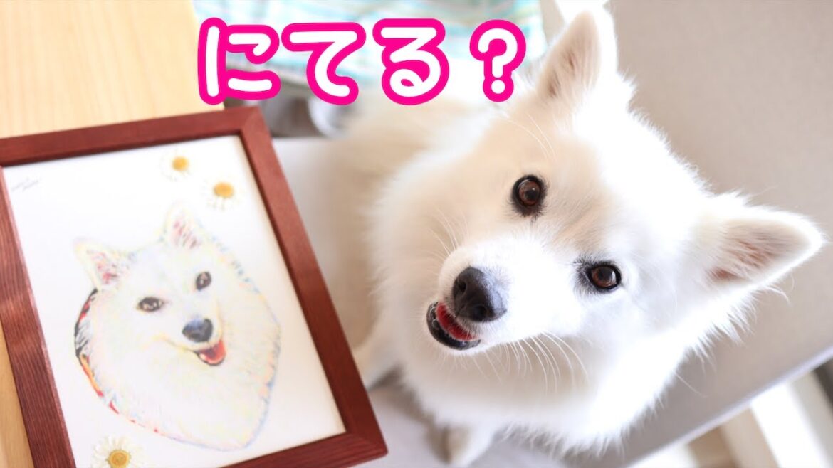 素敵な似顔絵のプレゼントをいただきました🎁【日本スピッツ】