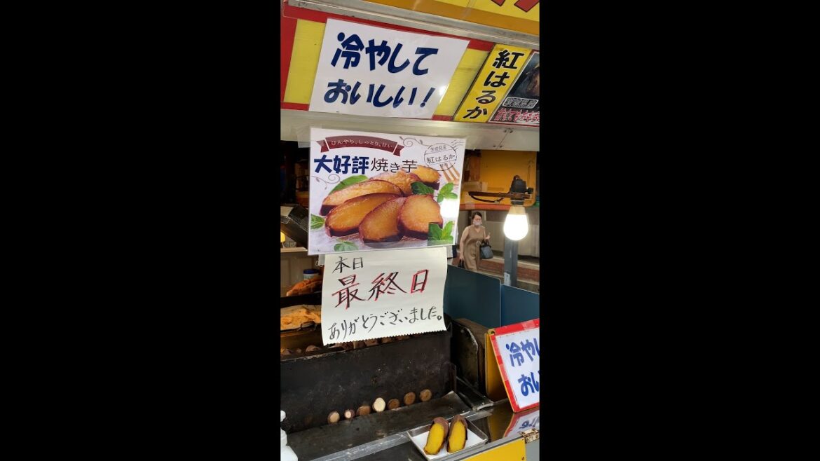 【犬のブルテリア】たま　焼き芋を大人買い #shorts