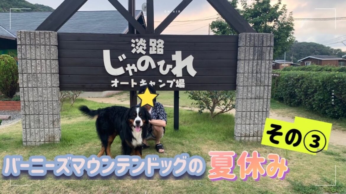 バーニーズマウンテンドッグの夏休み_その③