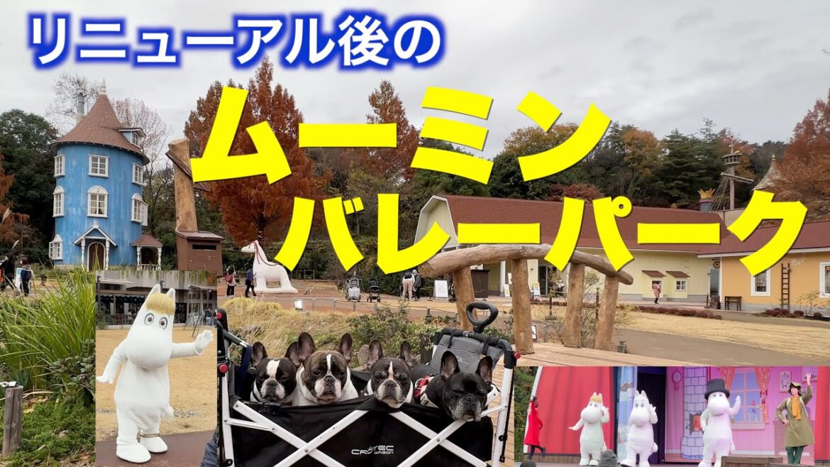 癒しの空間 ムーミンバレーパーク 【 french_bulldog フレンチブルドッグ 】 北欧