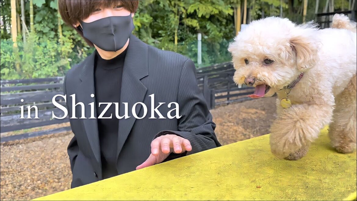 トイプードルと独身男の２泊３日の贅沢旅行【伊豆 #3】