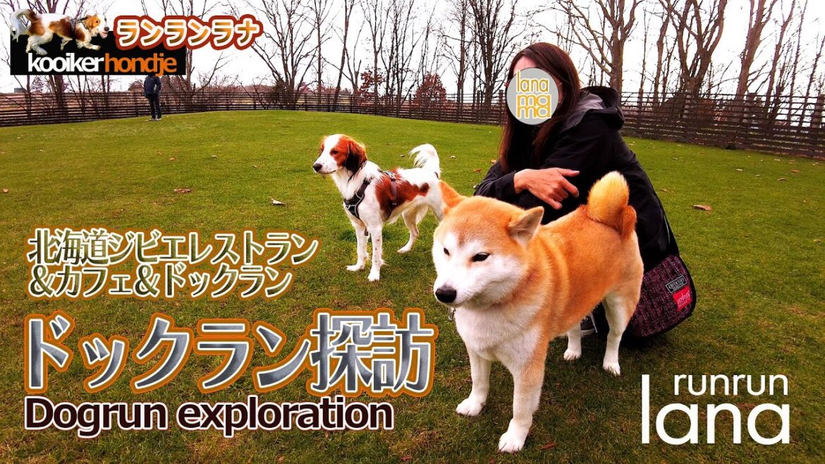 #67 ドックラン探訪 鹿肉レストラン&カフェ&ドックラン #67 ドックラン探訪 鹿肉レストラン&カフェ&ドックラン