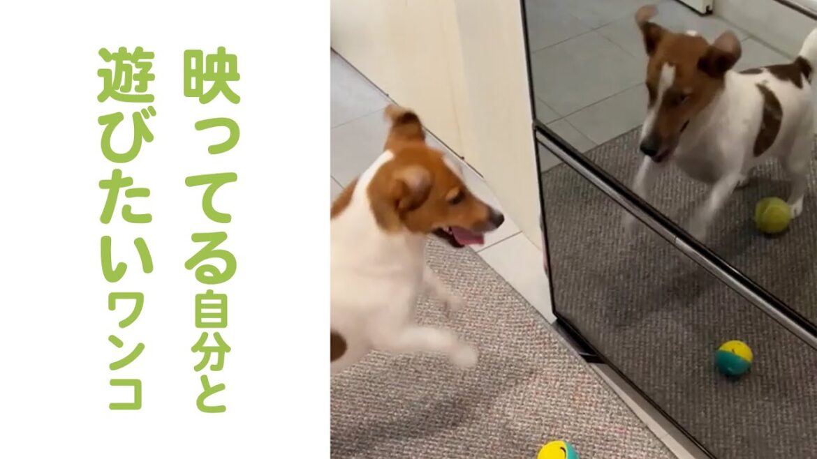 このまま1時間ぐらい続きます…💦｜PECO