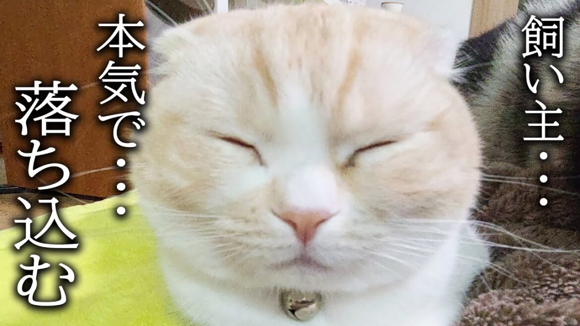 最悪な日で落ち込んでます・・・