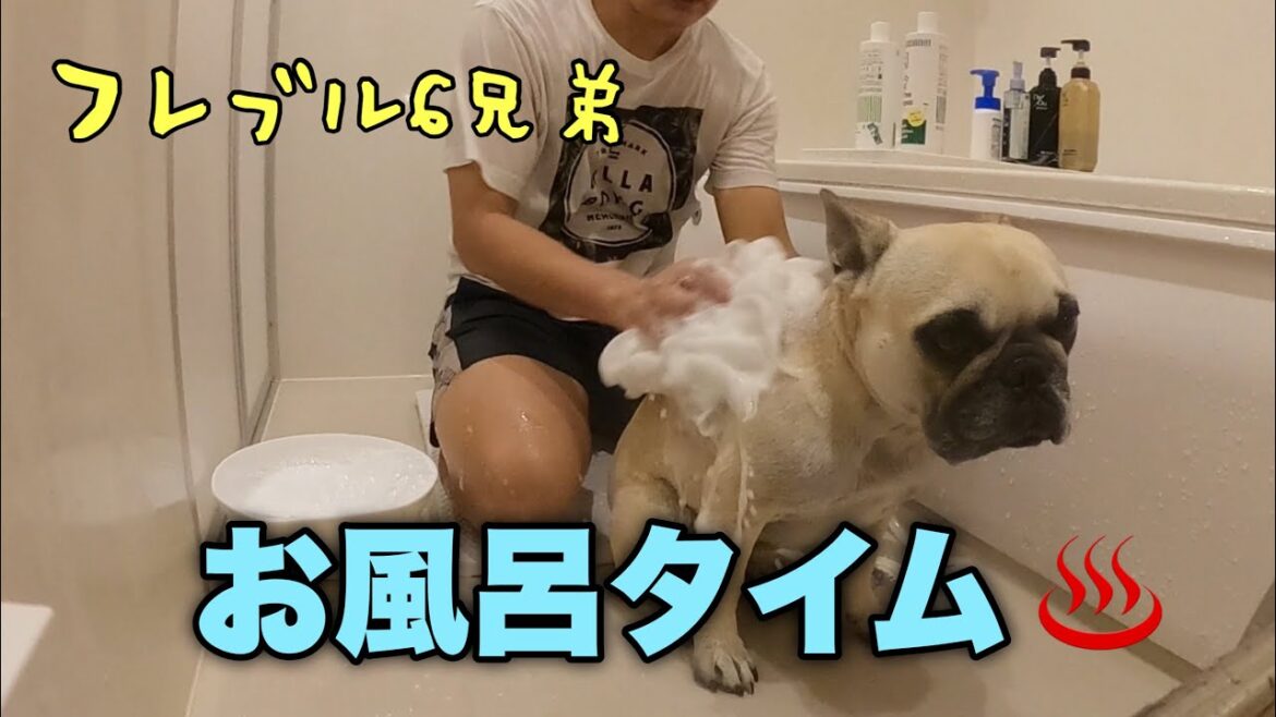 初公開！フレブル6兄弟全員の入浴シーンを見せちゃうよ