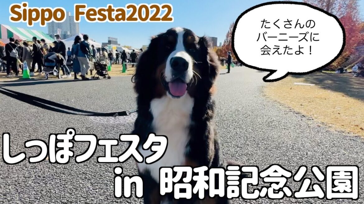 バーニーズと行く しっぽフェスタin昭和記念公園