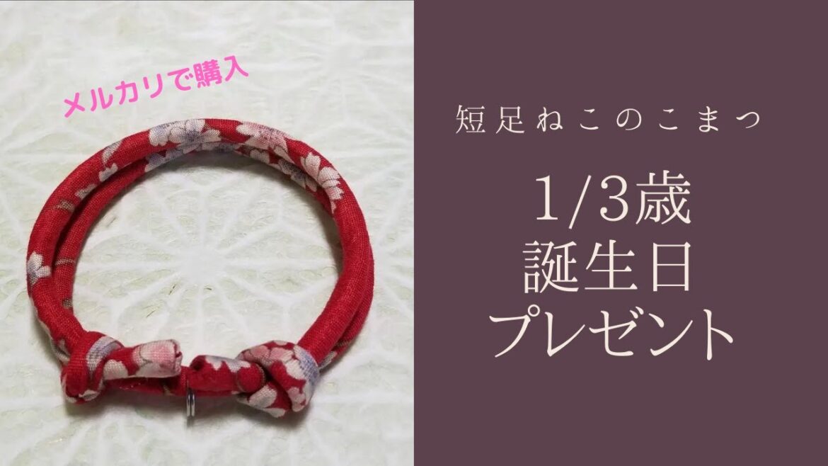 月誕生日のお祝いに買ってみたけど・・・【短足仔猫】 #Shorts