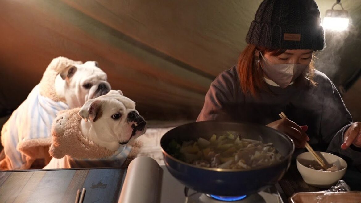 【気温０度】親ブル初のソロキャンプ＆鍋に子ブル２匹大歓喜WWW!