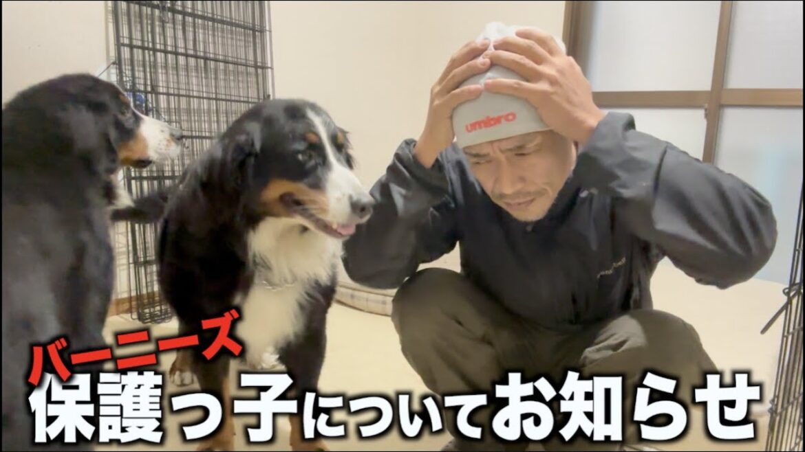 参った！こんなことになるなんて・・