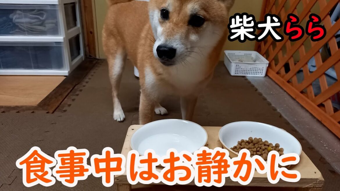 食事中はお静かに
