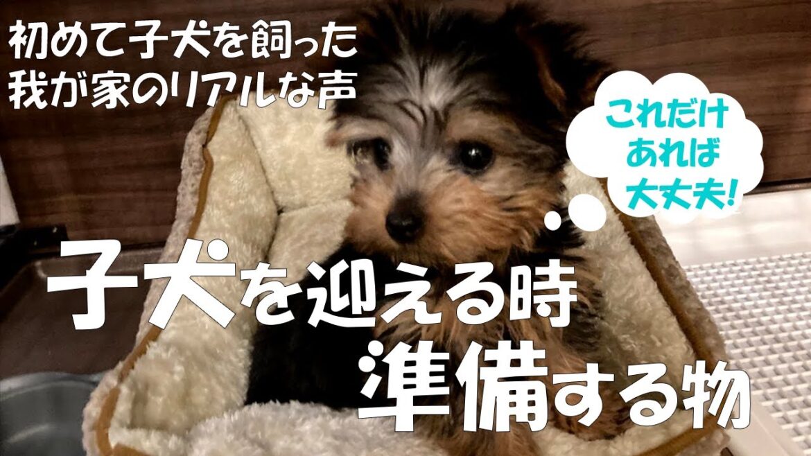 【必見】子犬を迎える時に準備する物と、実際に使ってみてのレビュー
