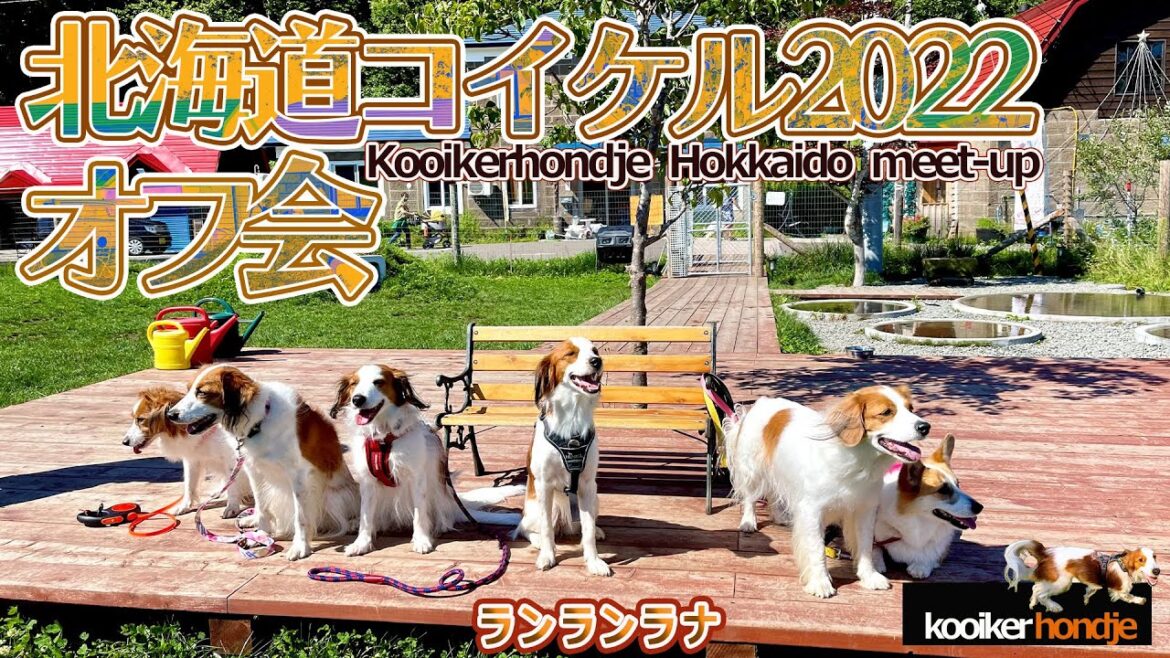 #59  コイケル北海道オフ会2022 #59  コイケル北海道オフ会2022