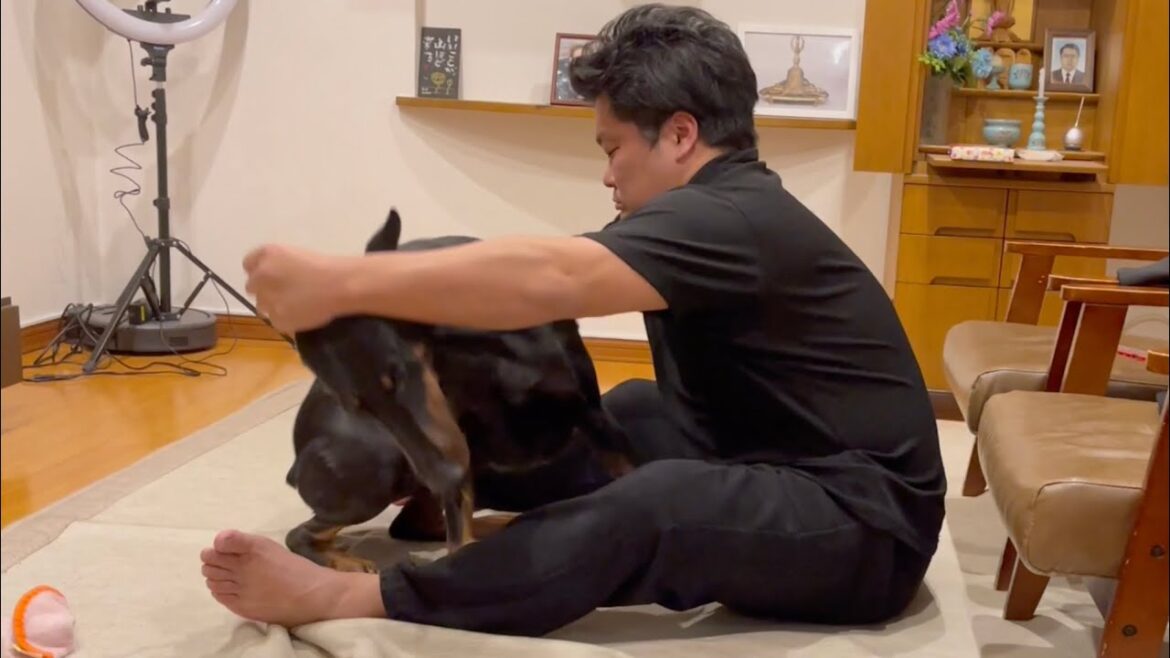 凶暴なドーベルマンを鷲掴みで制御するパパ 凶暴なドーベルマンを鷲掴みで制御するパパ