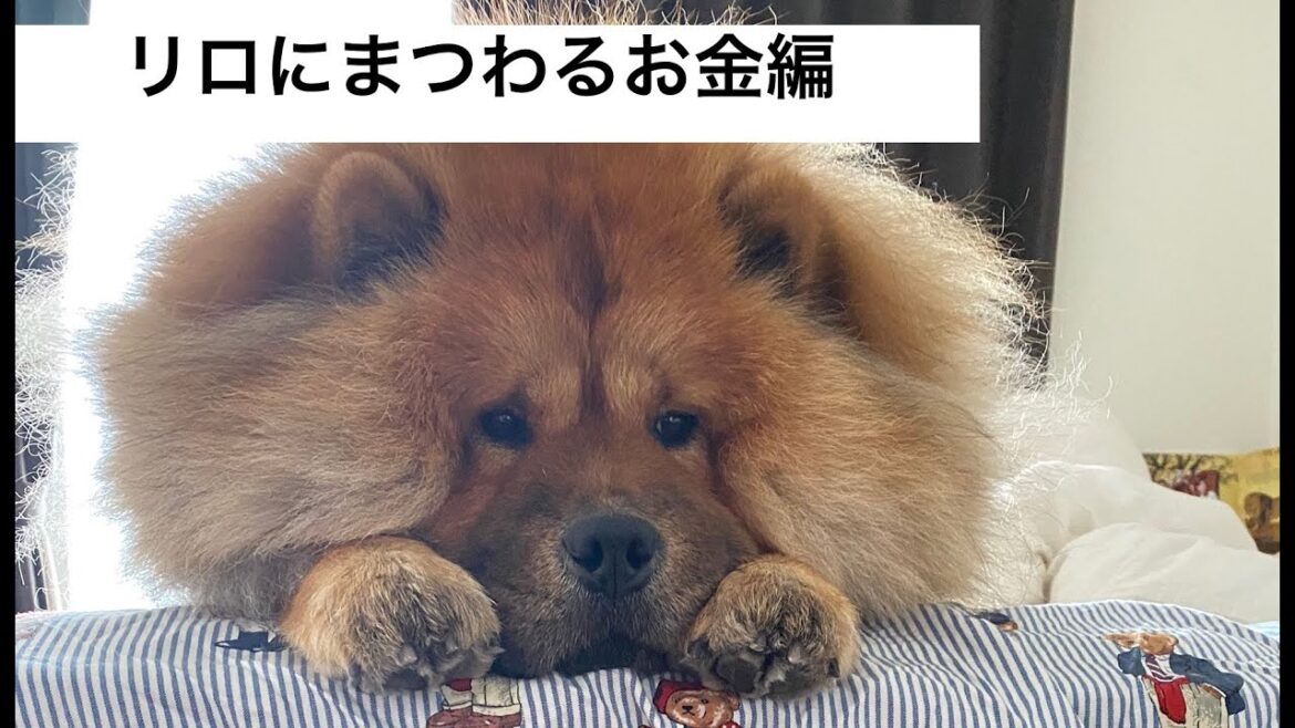 【お値段公開しチャウチャウ】リロにまつわるお金編