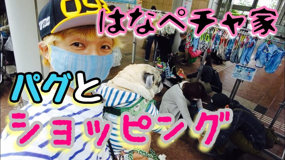 【お買物】パグとショッピング♬〜チョキ君が品川HANAPECHA YAに遊びに行ってみた〜 【お買物】パグとショッピング♬〜チョキ君が品川HANAPECHA YAに遊びに行ってみた〜