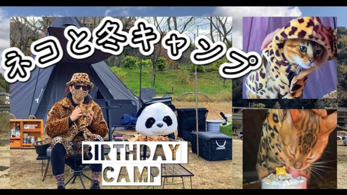 ネコと冬キャンプ☆ベンガル猫『ライム』1才の誕生日に関西キャンパーの聖地『笠置キャンプ場』でお祝いしてみた♪Bebgal Cat Birtday Camp☆　#猫　＃キャンプ　＃Bengal Cat