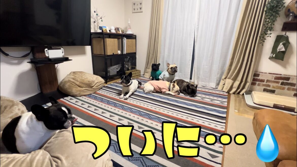【悲報】心配していたことがついに起きてしまいました。。