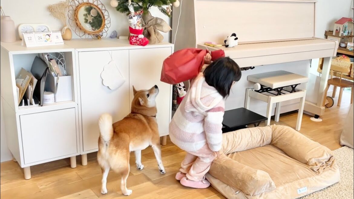 字が書けない柴犬のかわりにお手紙を書く3歳女の子 字が書けない柴犬のかわりにお手紙を書く3歳女の子