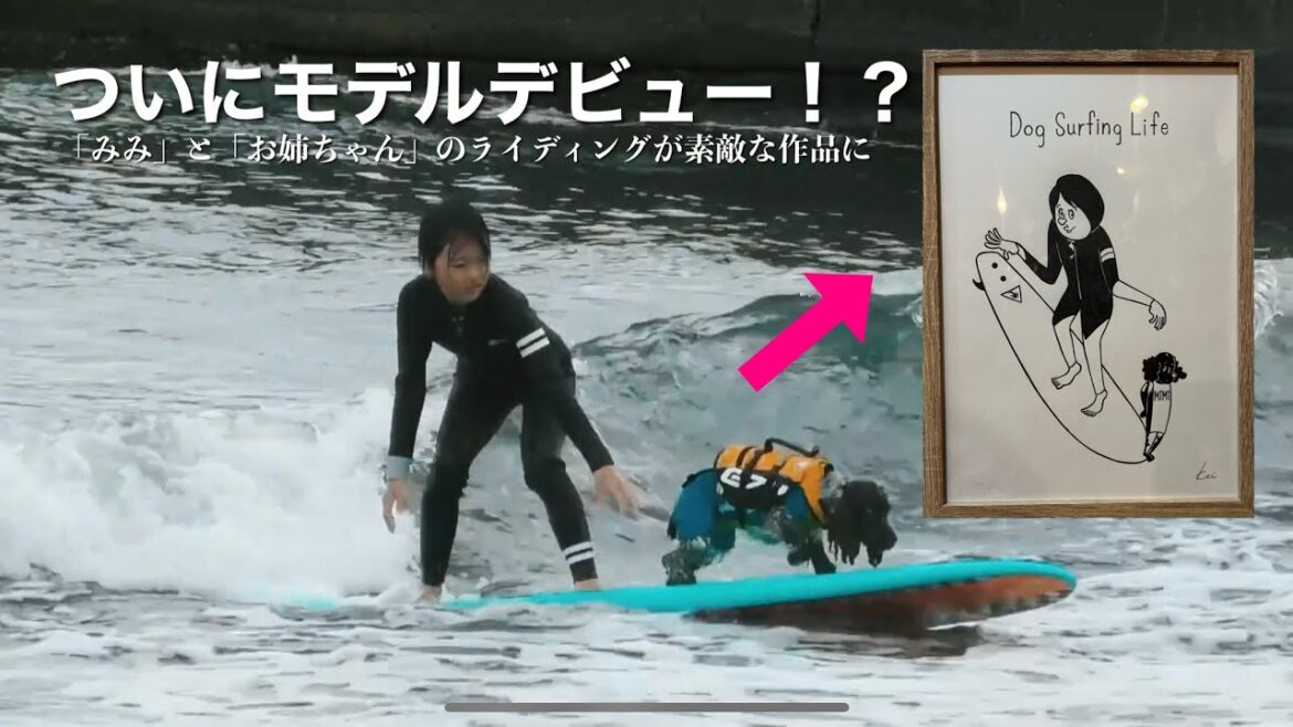 【ドッグサーフィン#26】ついにモデルデビュー！？　イングリッシュコッカースパニエル「みみ」の気持ち