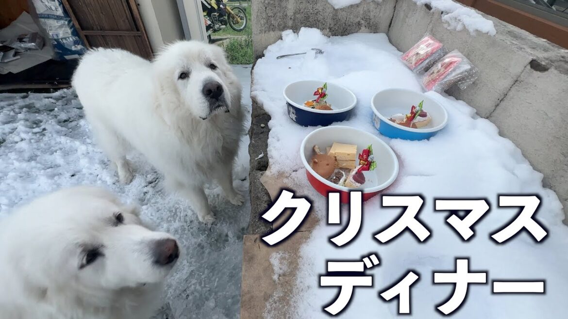 クリスマスプレゼントをたくさん頂きましたので豪勢に・・・