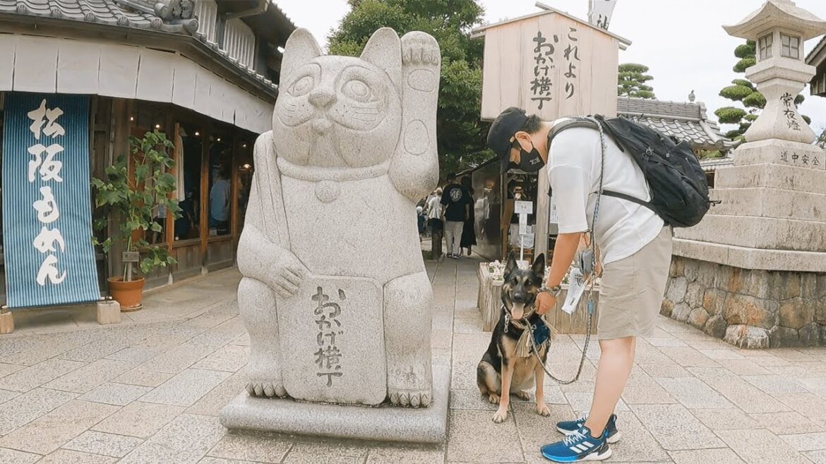 【お伊勢参り】おかげ横丁でおかげ犬体験してみた！【ジャーマンシェパード】