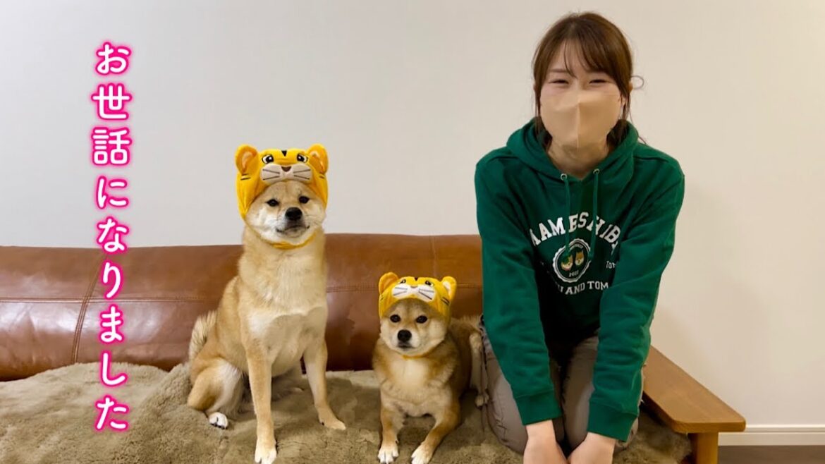1年間ありがとうございました。