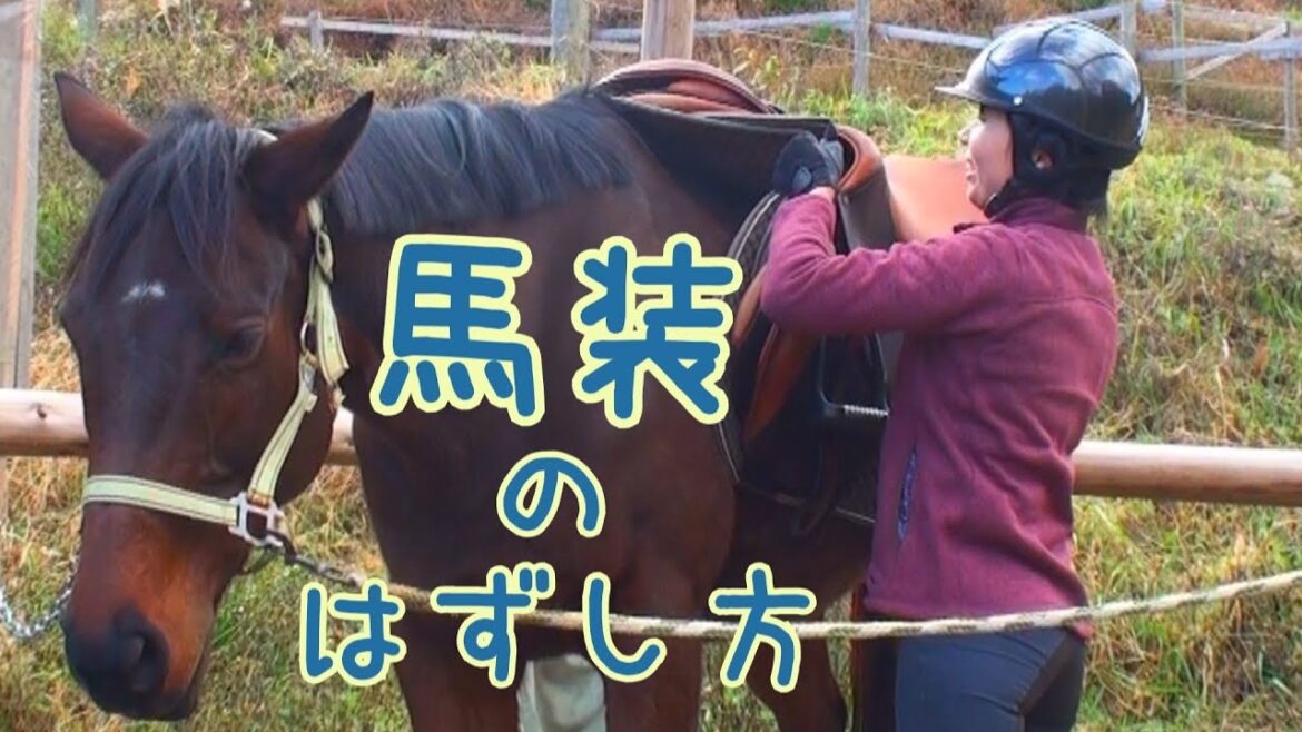 【解説】馬装解除するよ！