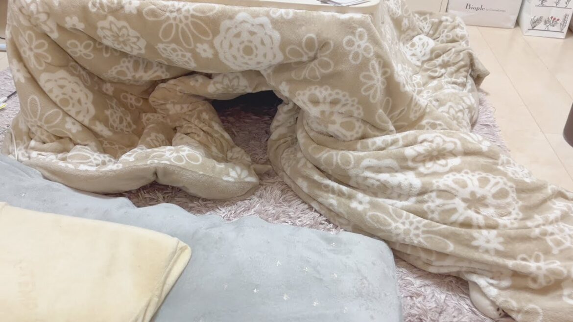 巣穴を発見したので覗いてみると..?【フレンチブルドッグ frenchbulldog】 巣穴を発見したので覗いてみると..?【フレンチブルドッグ frenchbulldog】