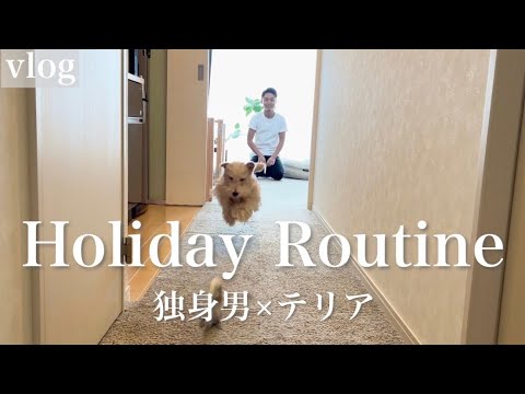独身男とテリアの休日ルーティン(Holiday Routine)レイクランドテリア【vlog 】 独身男とテリアの休日ルーティン(Holiday Routine)レイクランドテリア【vlog 】