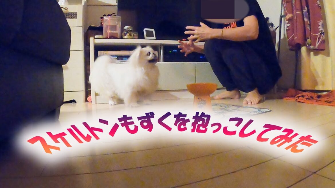 スケルトンもずくを抱っこしてみた