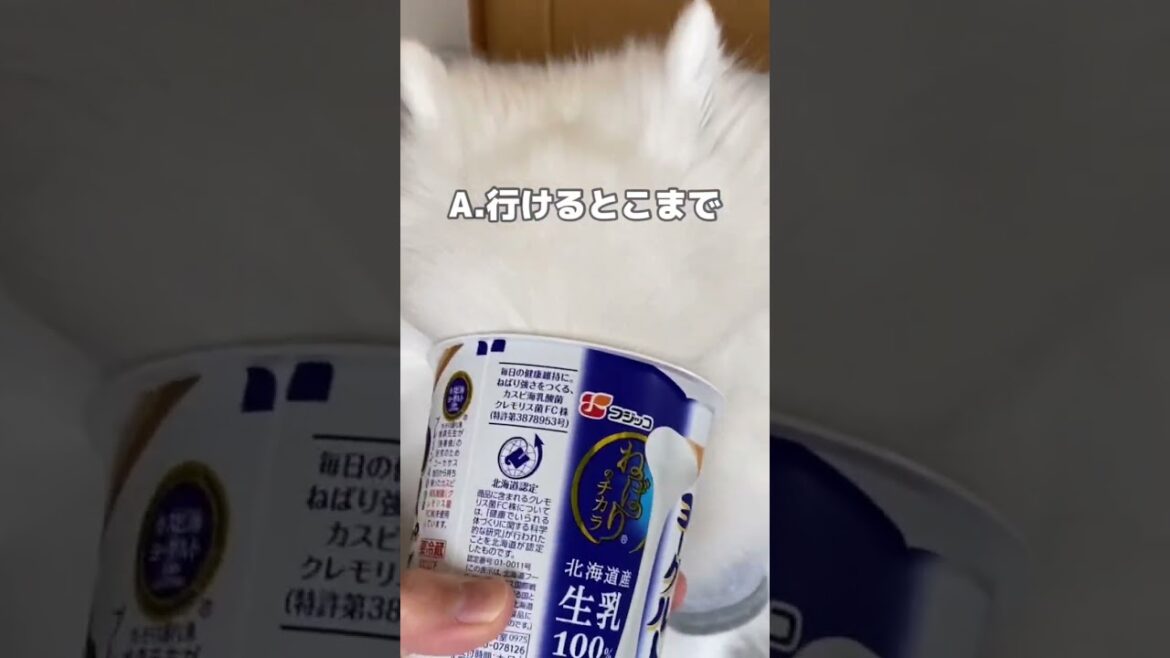 🐮やめられないとまらない #shorts  ｜日本スピッツ