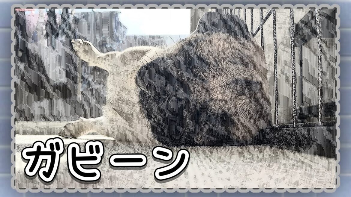 飼い主が知らぬ間に○○していたパグ。いつも元気すぎて気が付かなかった。