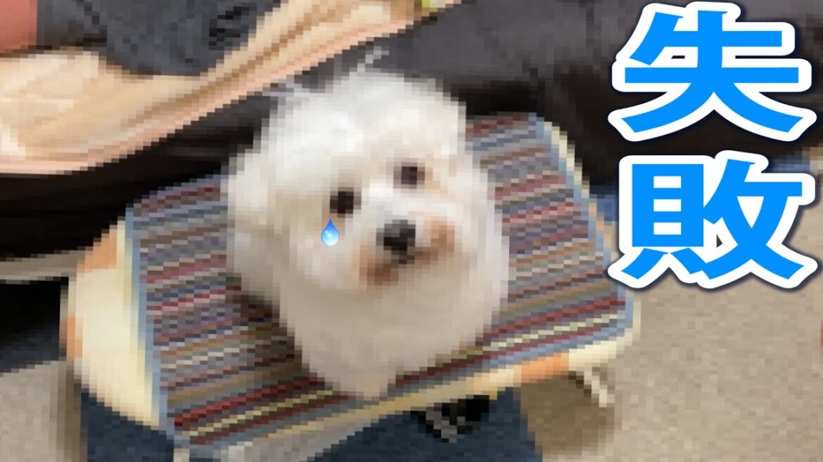【失敗】家で散髪したら大変なことになった…